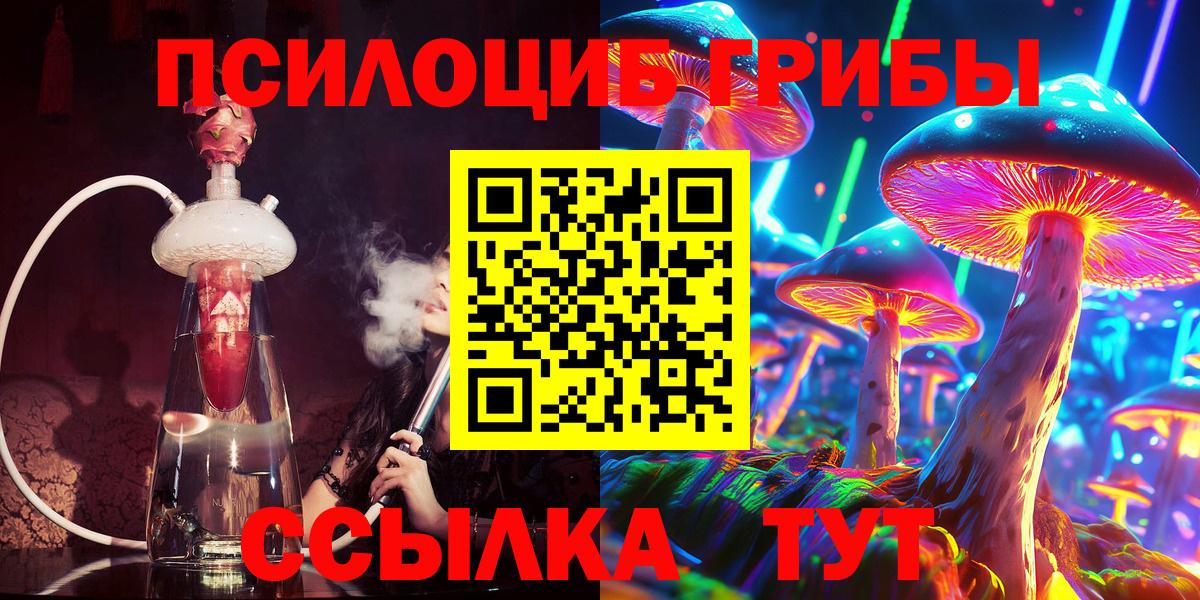 Всеволожск  Галлюциногенные грибы MAGIC MUSHROOMS  Вход с VPN 